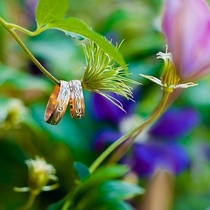 Свадебная сьемка. Пакет "Минимальный"